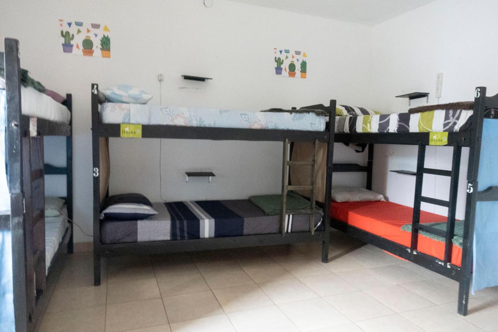 Huaka Hostel And Guest House Cafayate Ngoại thất bức ảnh